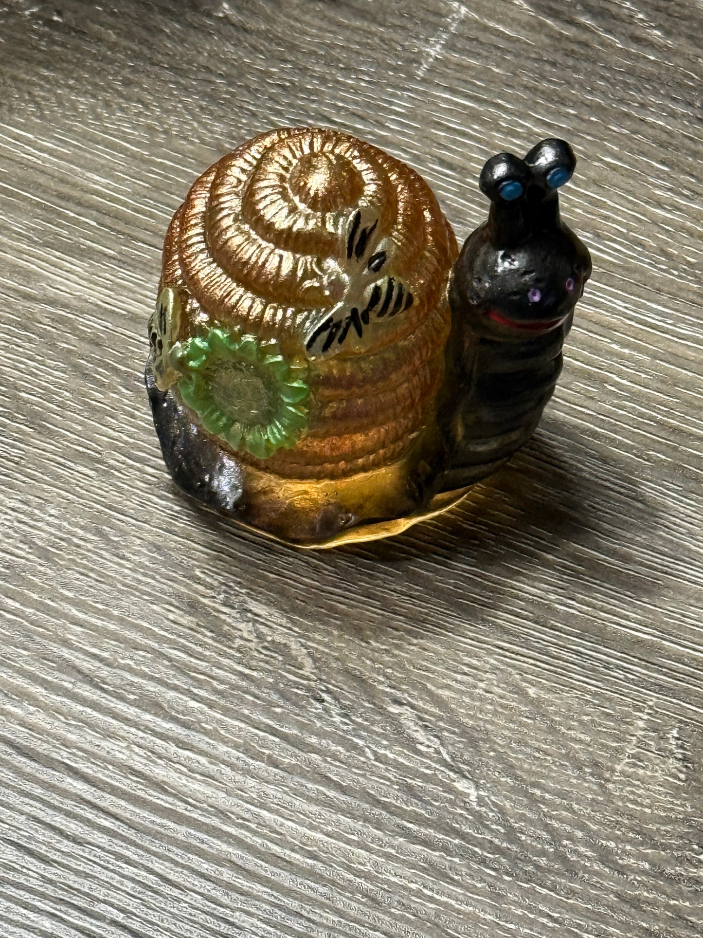 Honeycomb Snail