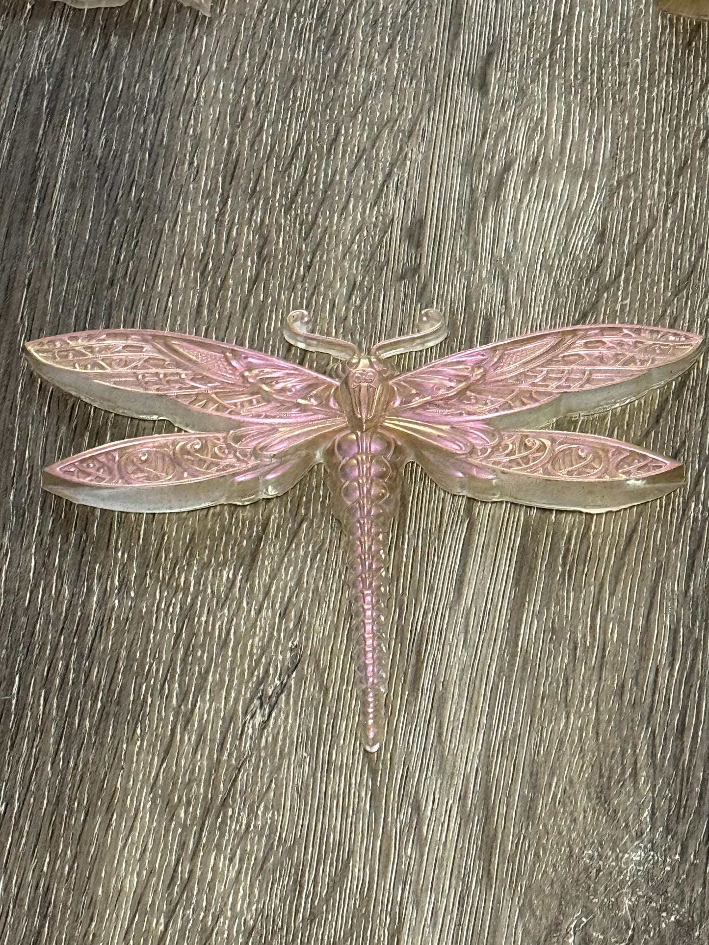 Dragonfly