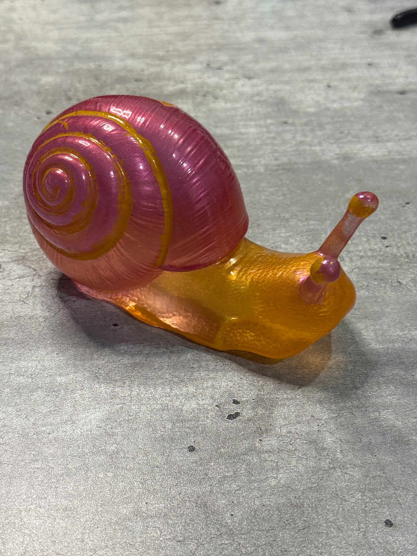 Snail