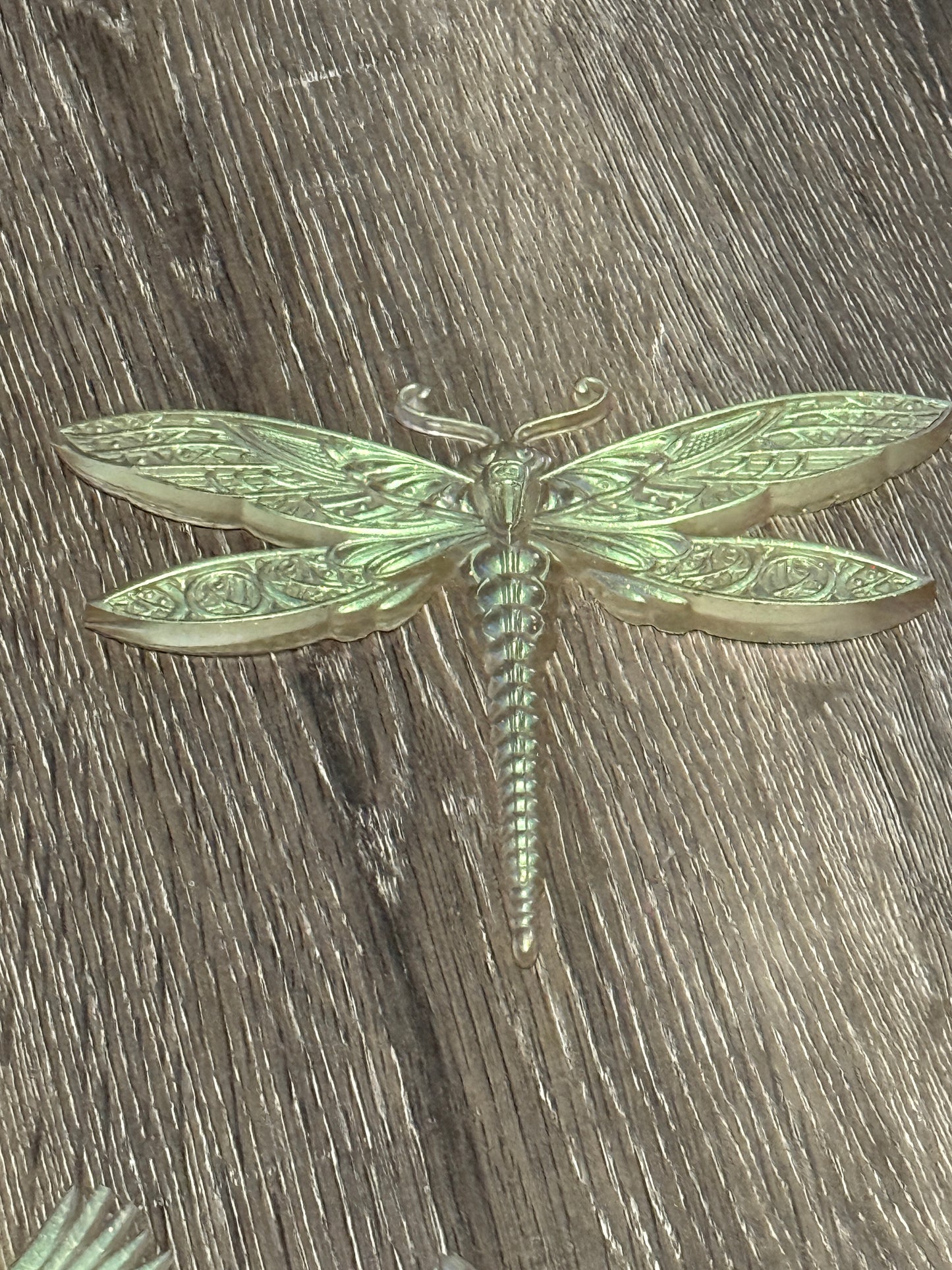 Dragonfly
