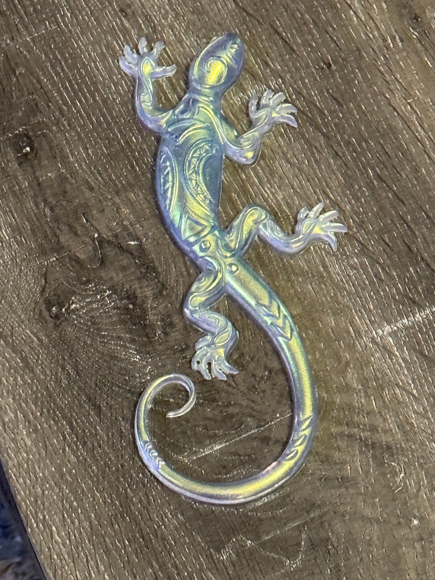 Lizard