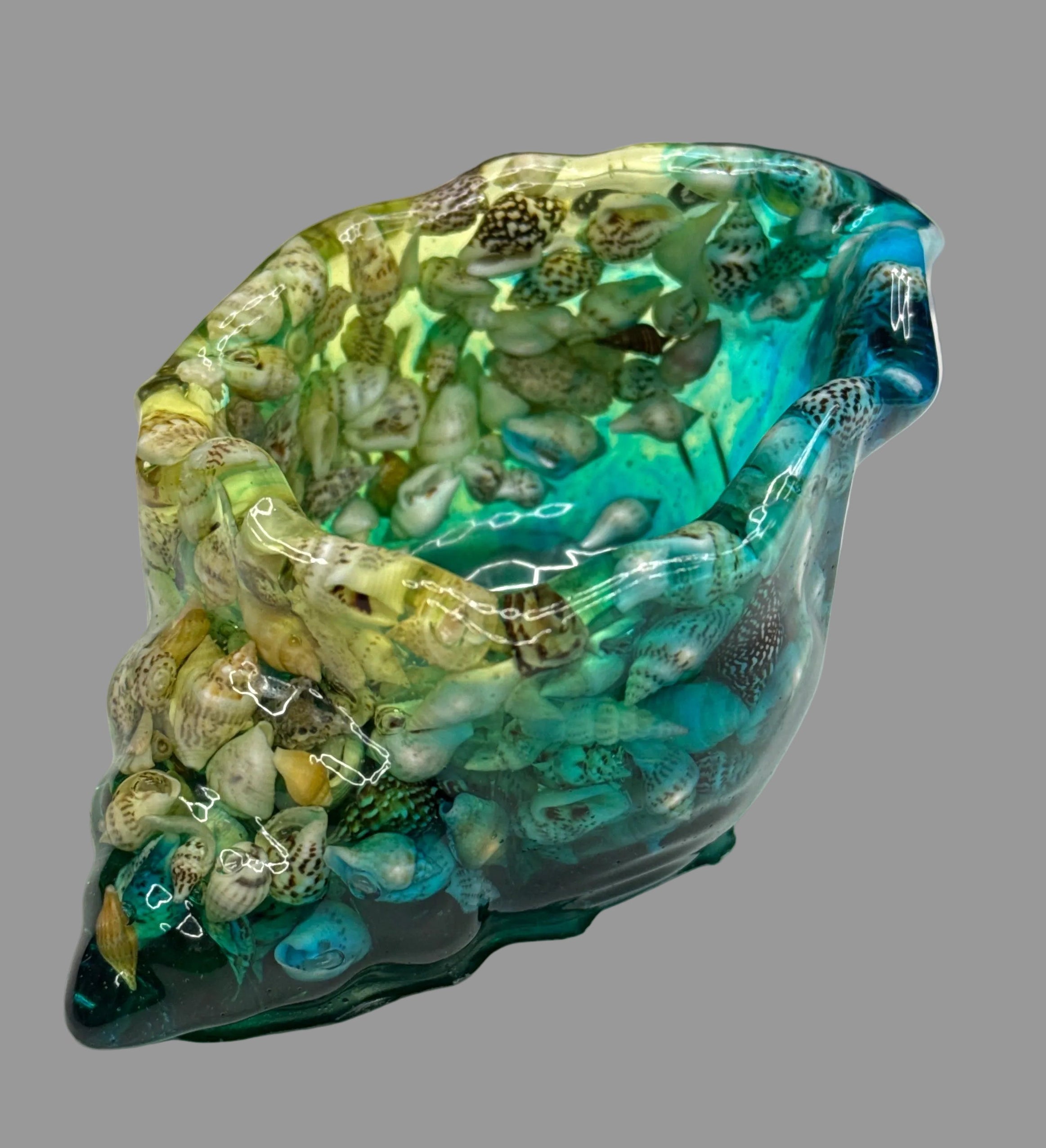 Conch Shell - Resin