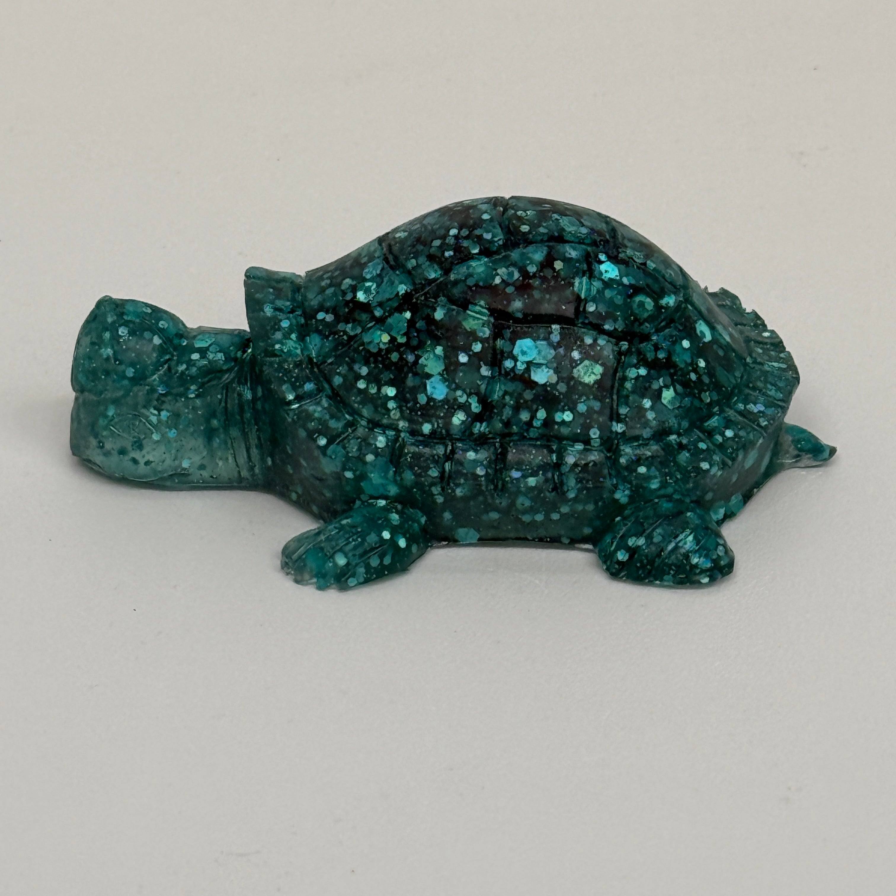 Tortoise With Backwards Cap