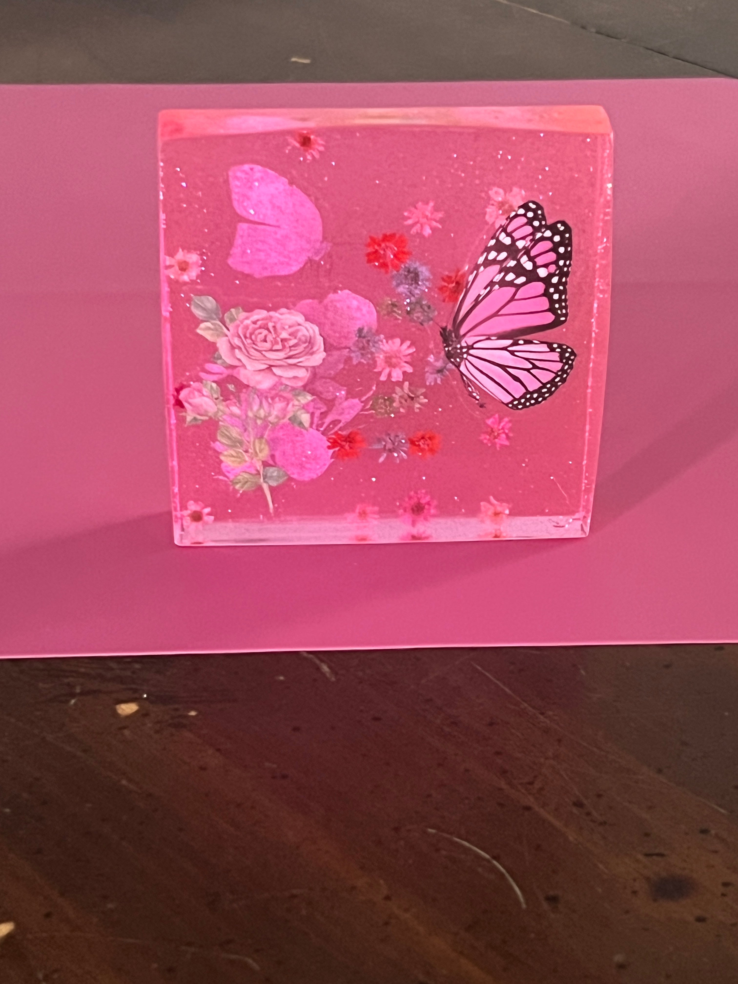 Butterfly Field of Dreams