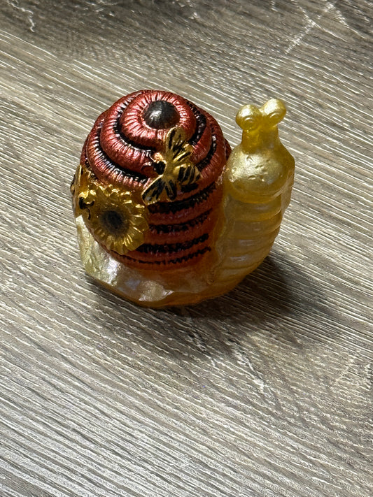 Honeycomb Snail