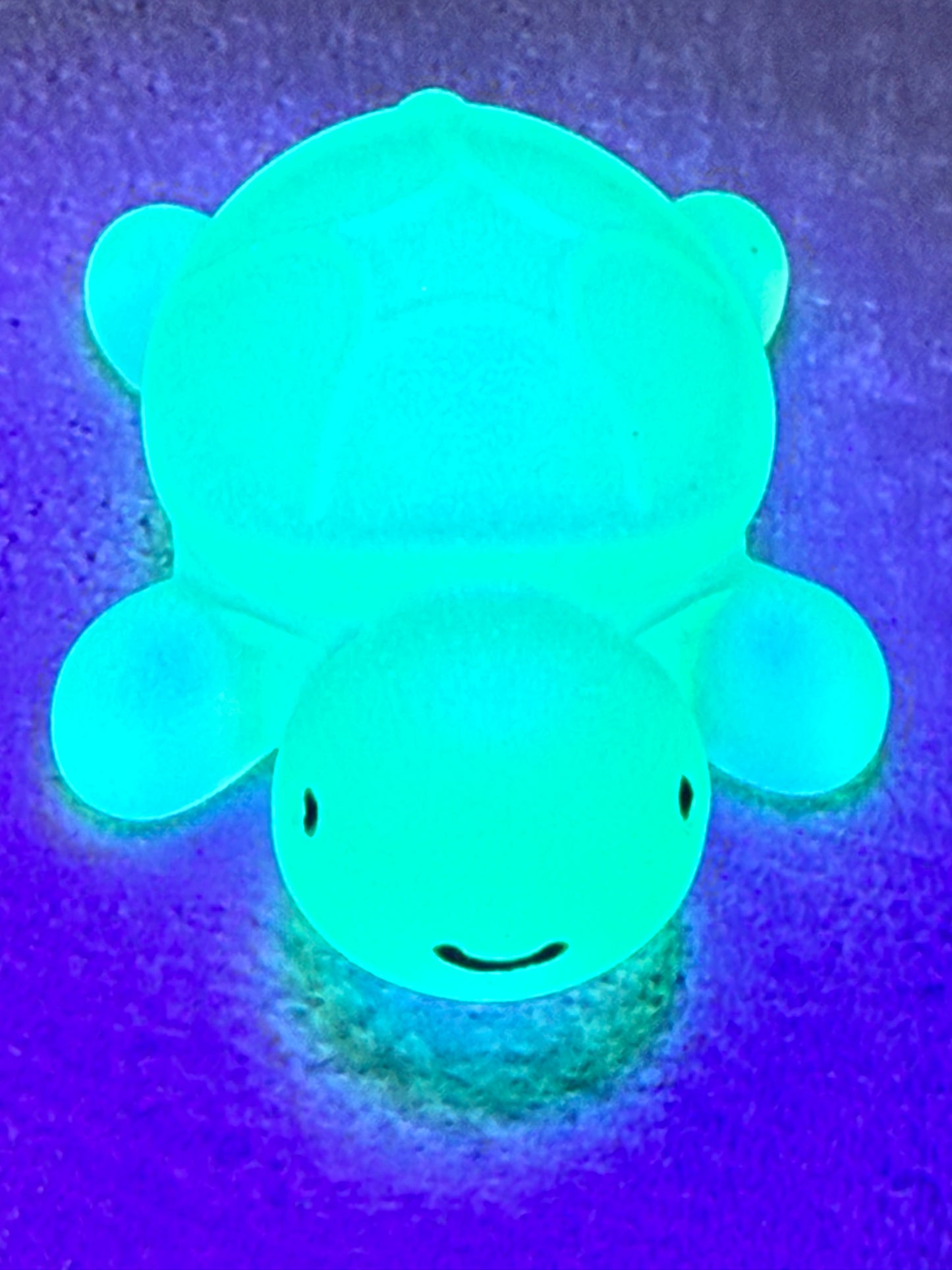 Glow-in-the-dark Baby Turtle