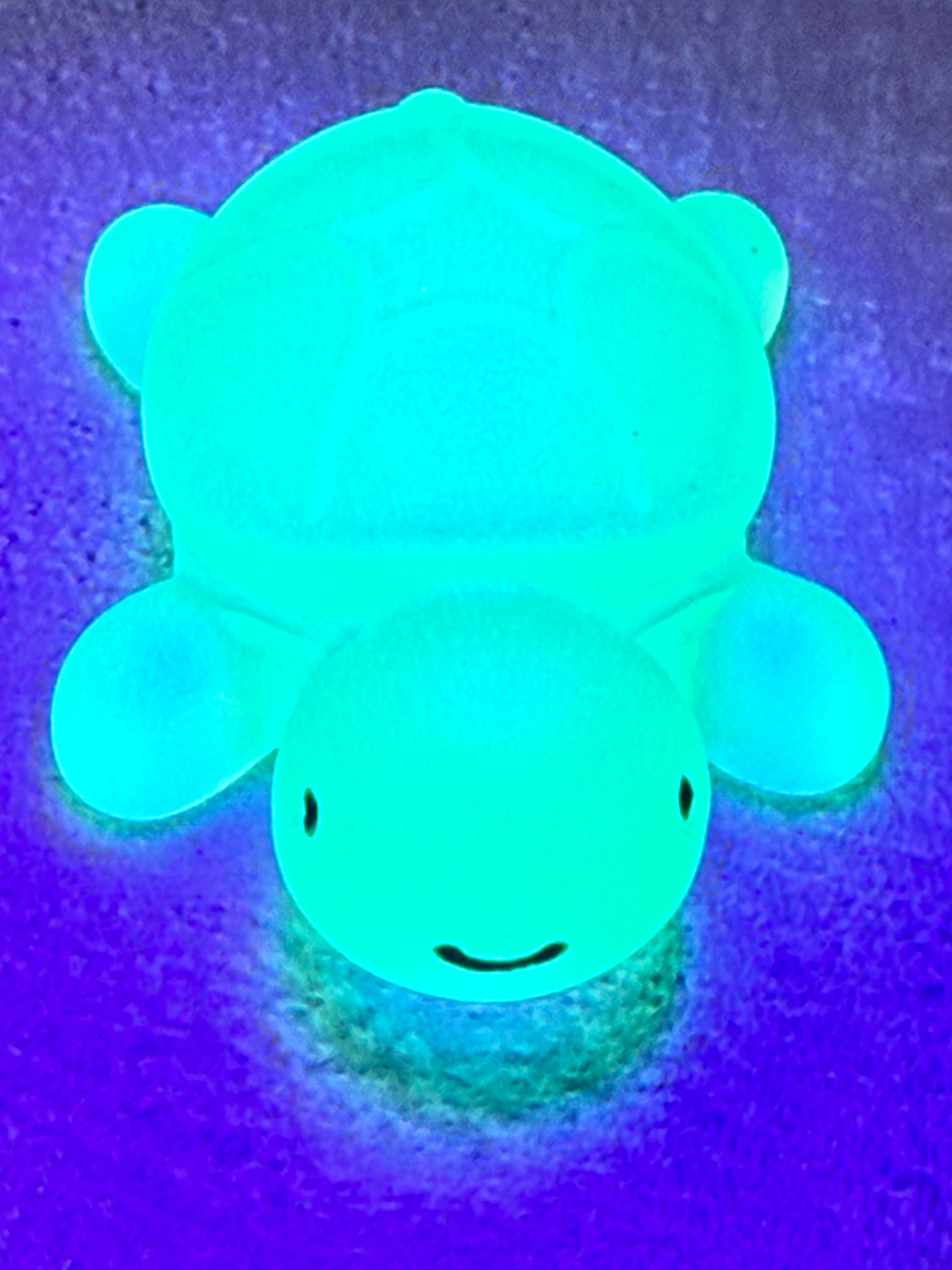 Glow-in-the-dark Baby Turtle