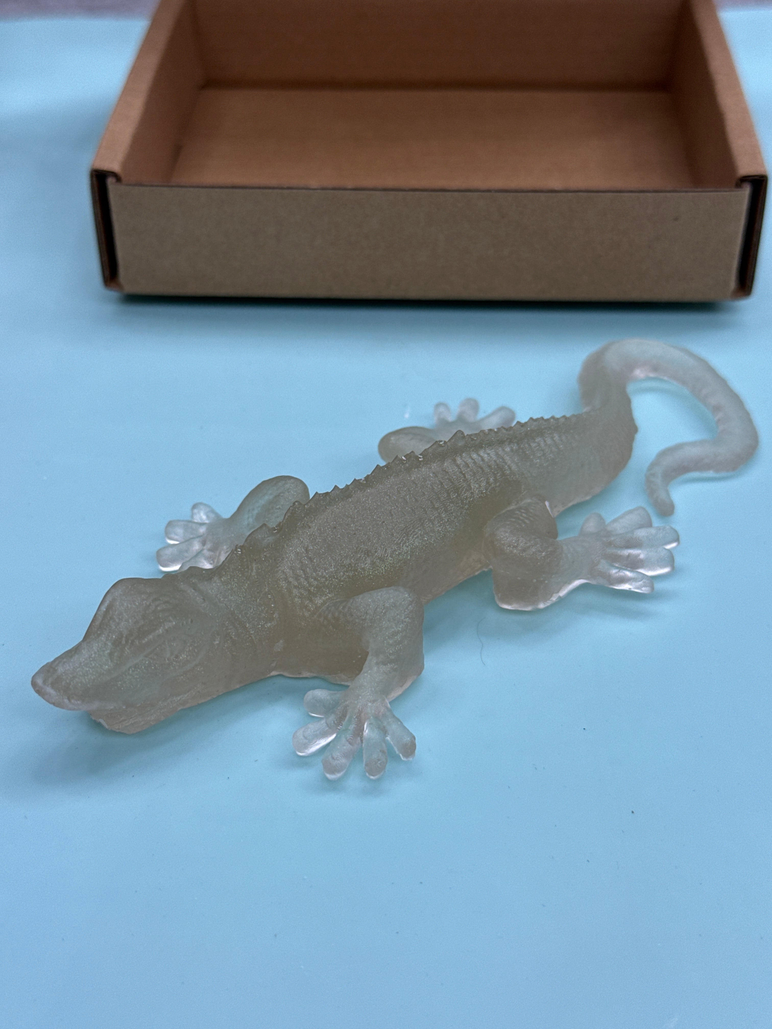 Salamander 🦎