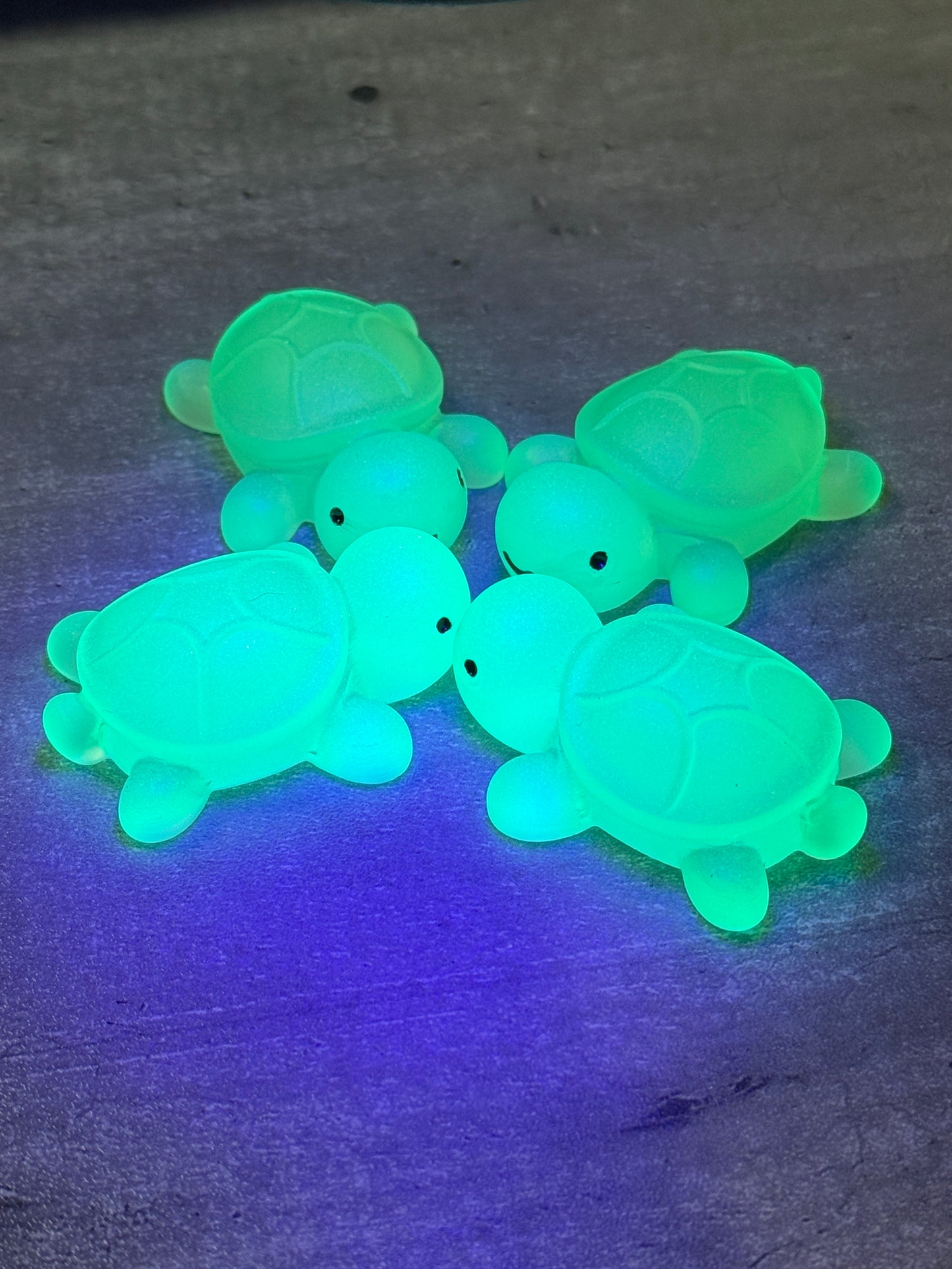 Glow-in-the-dark Baby Turtle