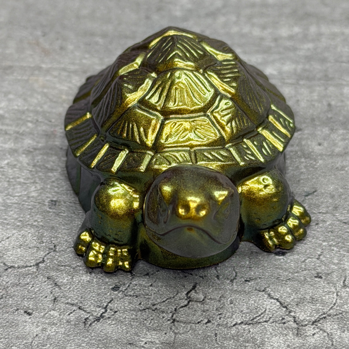 Chameleon Turtle - Small