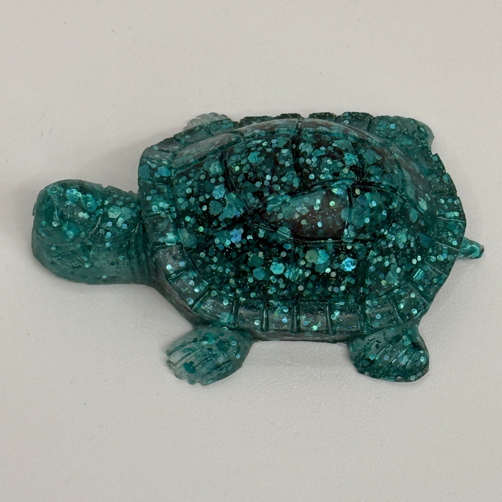 Tortoise With Backwards Cap