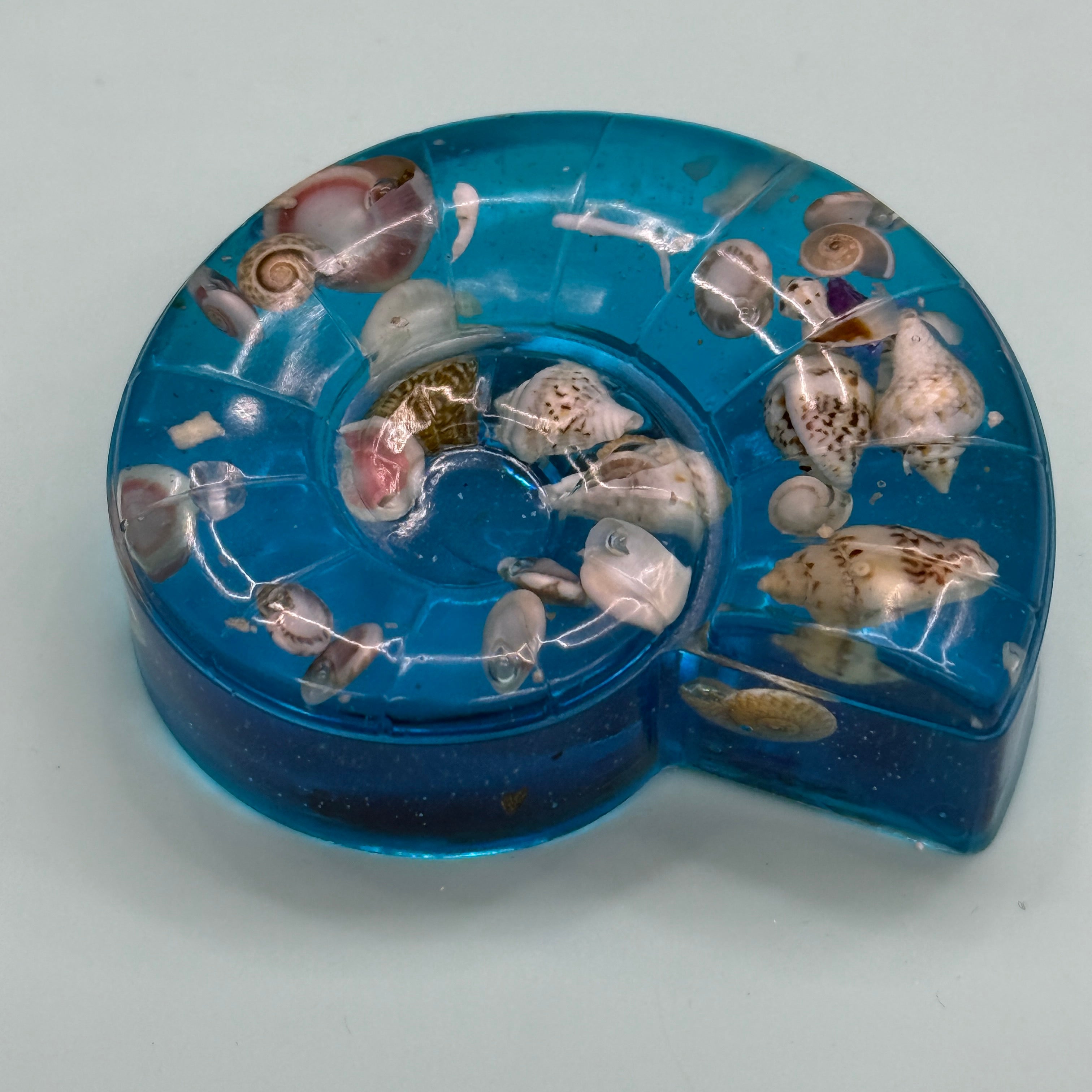 Under the Sea magnets