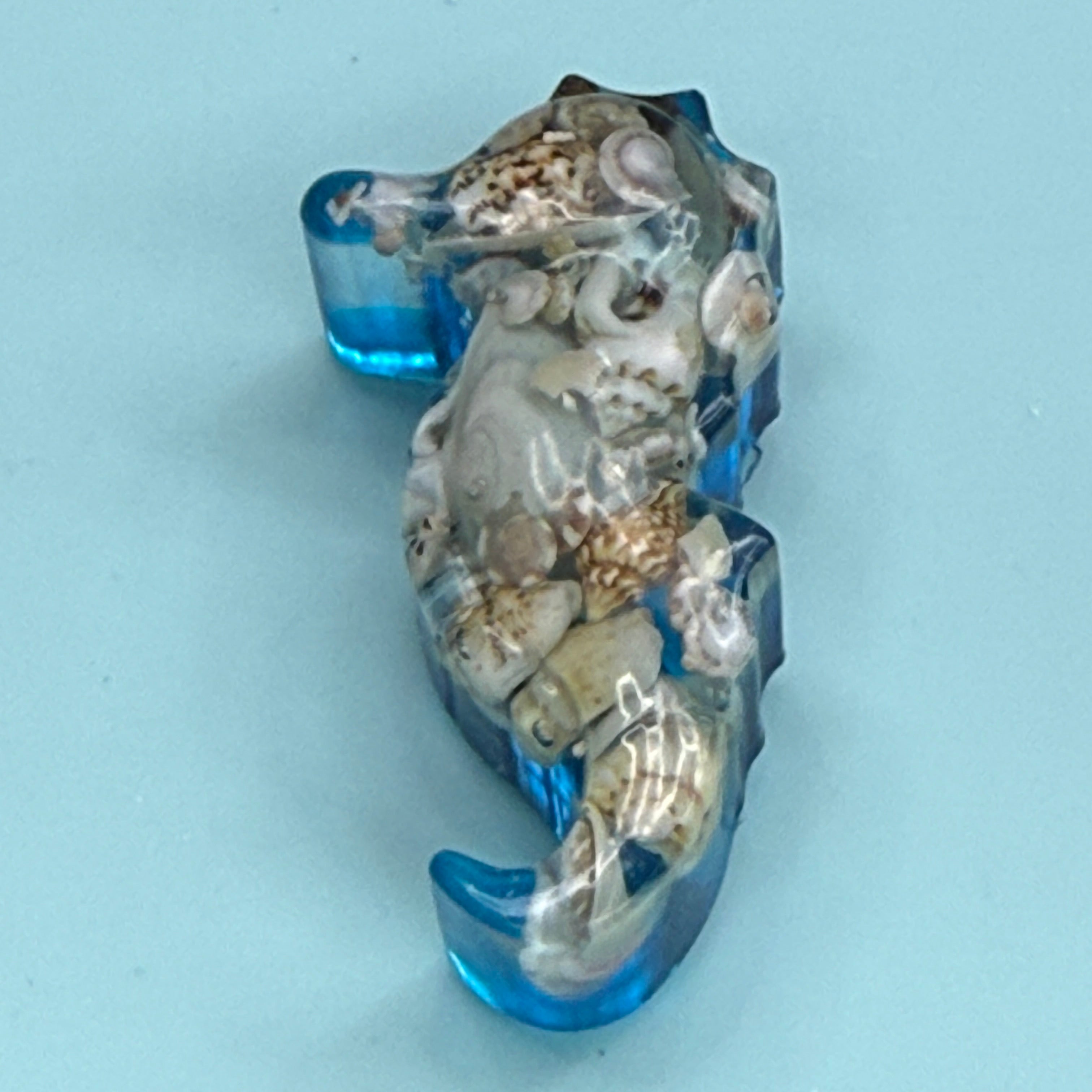 Under the Sea magnets