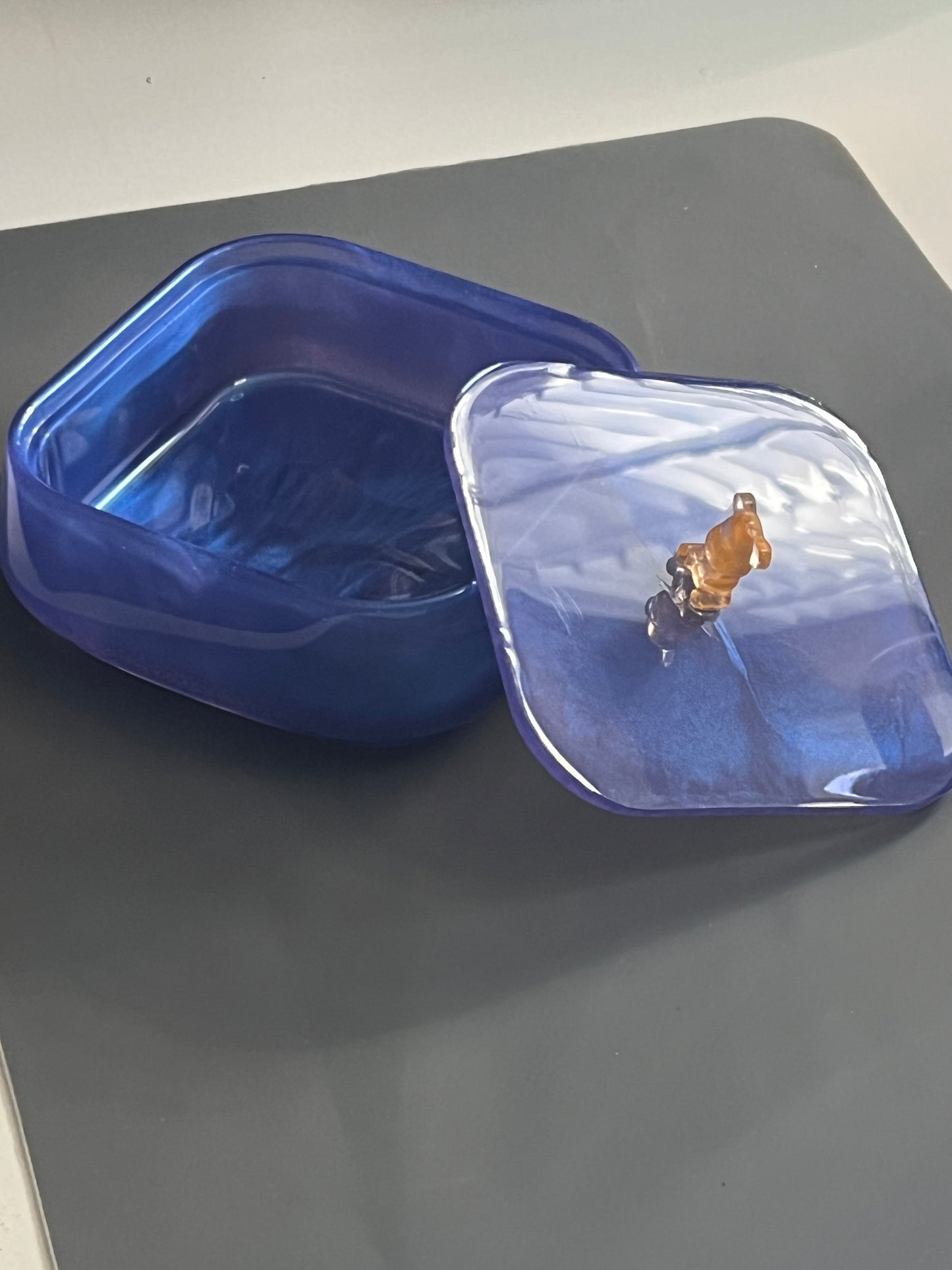 Storage Box w/ Lid