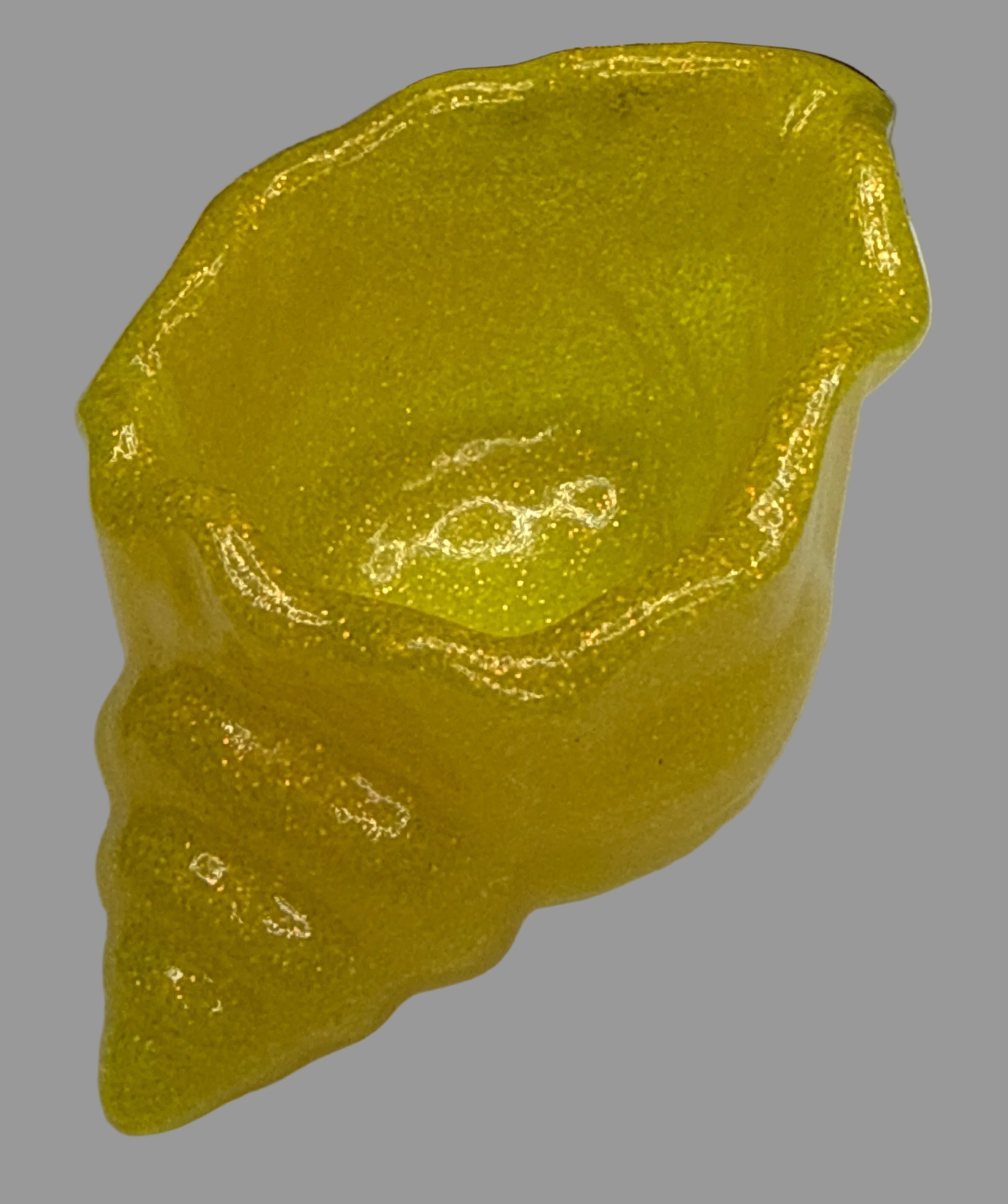 Conch Shell - Resin