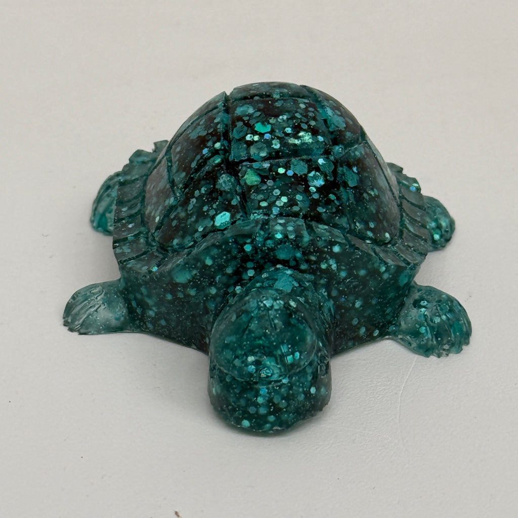 Tortoise With Backwards Cap