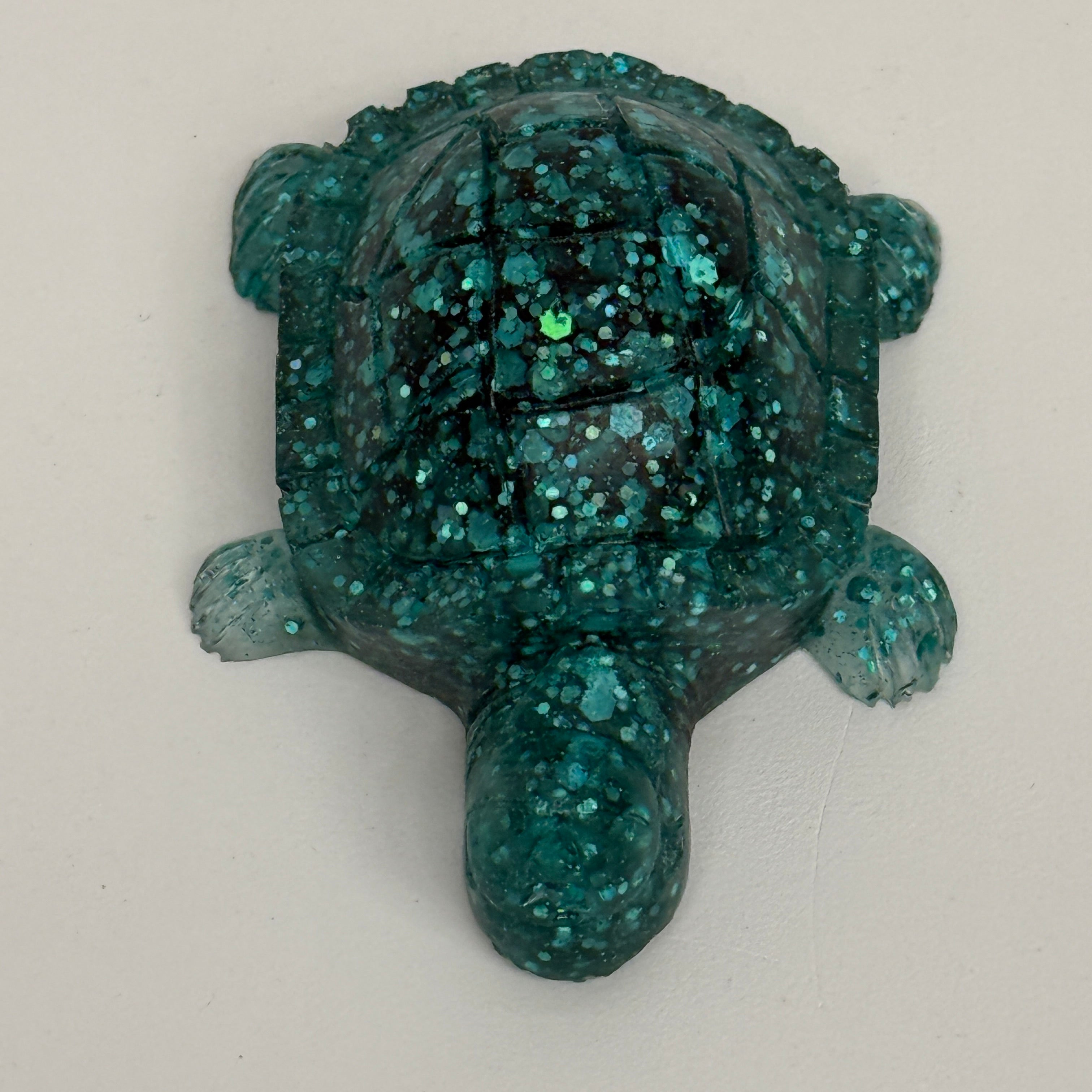 Tortoise With Backwards Cap