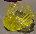 Shell Trinket Dish - Large