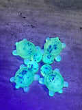 Glow-in-the-dark Baby Turtle