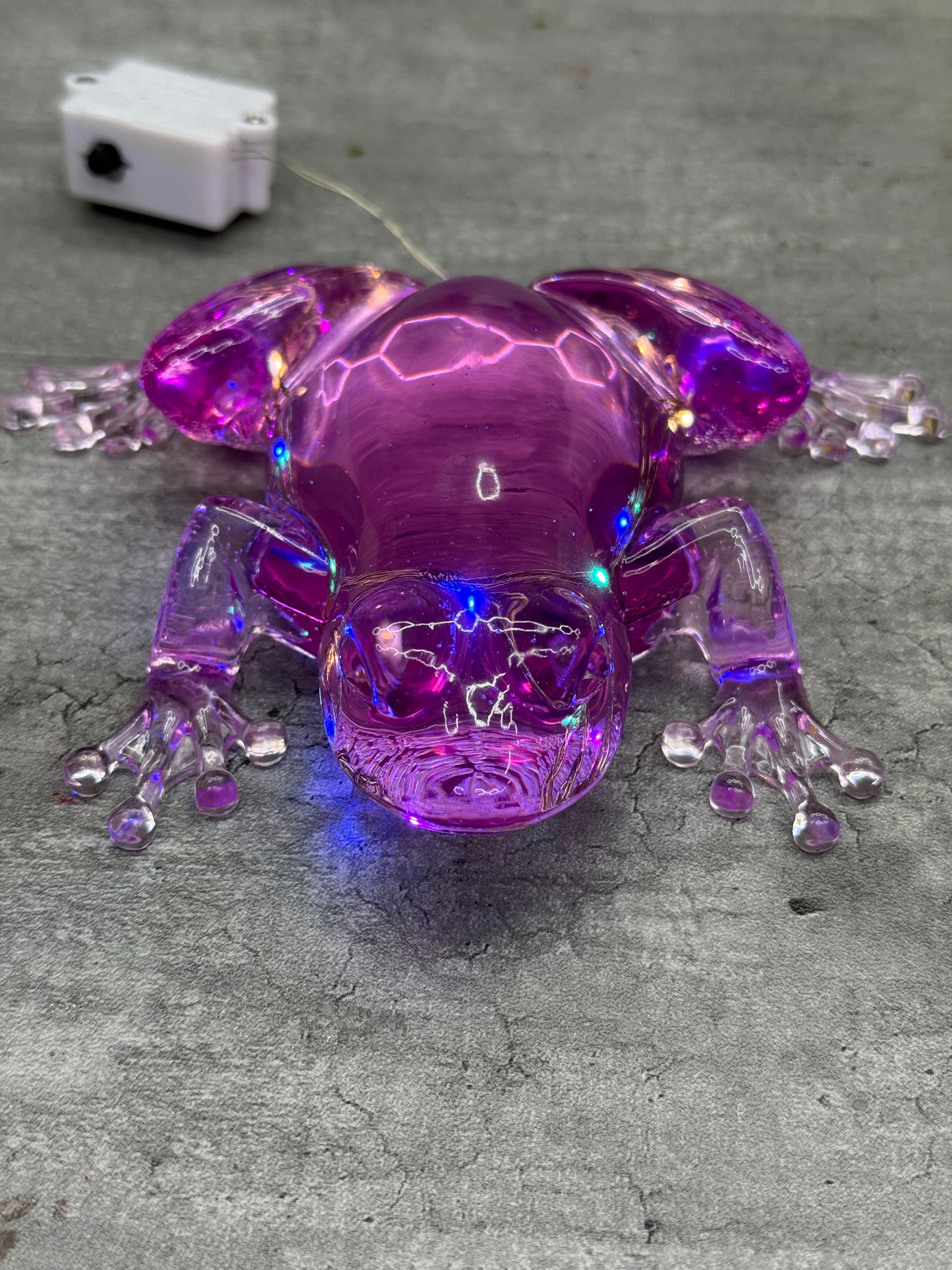 Frog Figurine with Fairy Lights