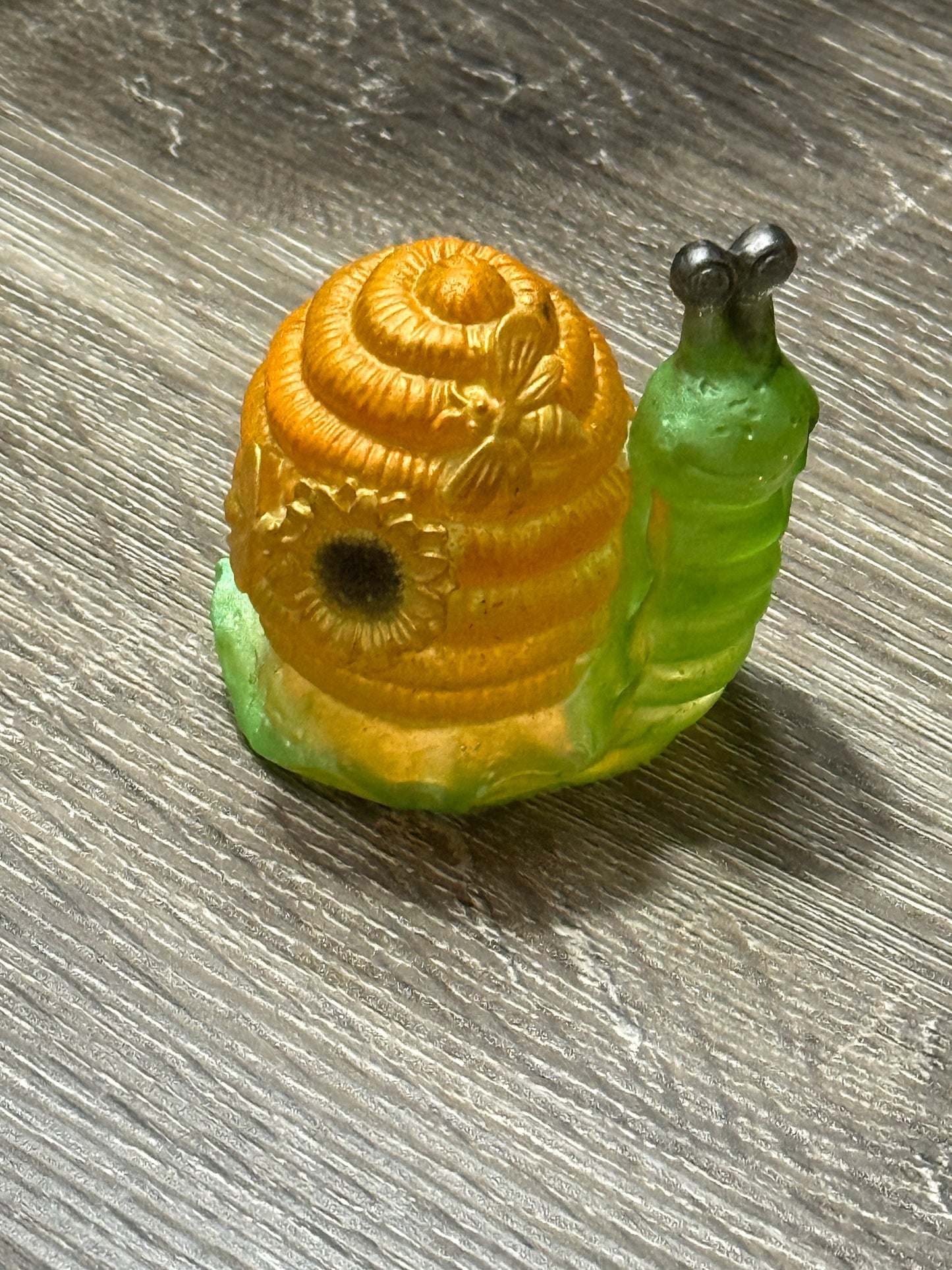 Honeycomb Snail